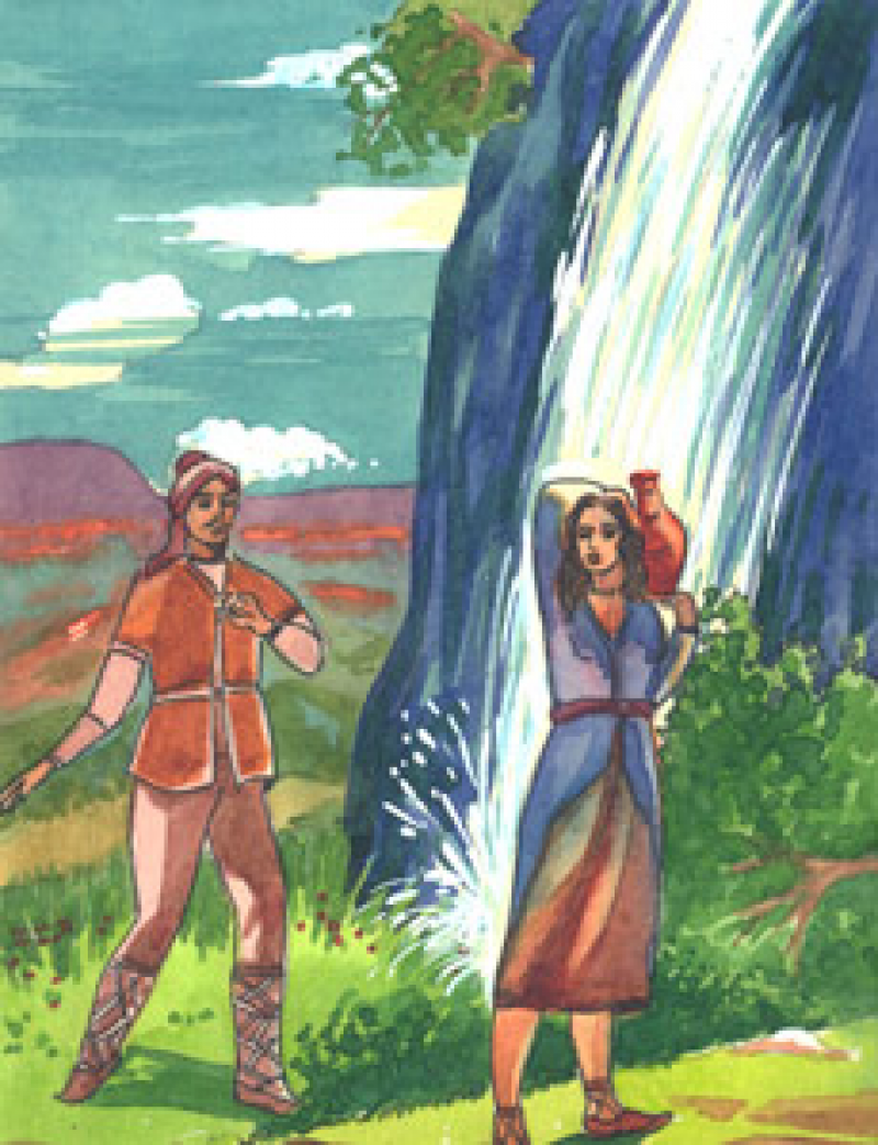 Tülkü balası (böyüklər üçün)